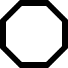 Octagon 2